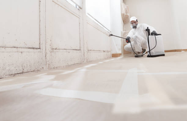 24/7 Emergency Commercial Mold Remediation experts in Richardsville, VA
