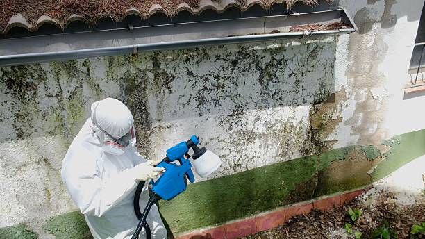 Top rated local Commercial Mold Remediation specialists in Richardsville, VA